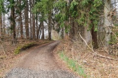 2022-04-16-Gravelbike-Tour-Grevet-1-Bayern-042