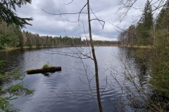 2022-04-16-Gravelbike-Tour-Grevet-1-Bayern-072