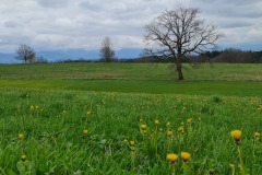 2022-04-16-Gravelbike-Tour-Grevet-1-Bayern-073