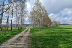 2022-04-16-Gravelbike-Tour-Grevet-1-Bayern-096