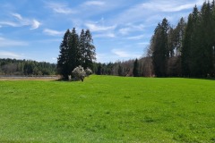 2022-04-17-Wandern-Ostern-Osterseen-28
