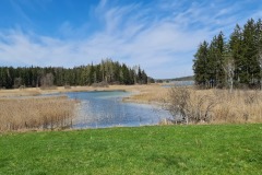 2022-04-17-Wandern-Ostern-Osterseen-29