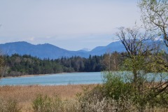 2022-04-17-Wandern-Ostern-Osterseen-42