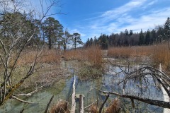 2022-04-17-Wandern-Ostern-Osterseen-45