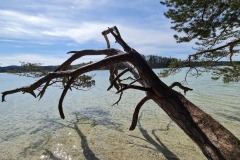 2022-04-17-Wandern-Ostern-Osterseen-68