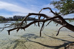 2022-04-17-Wandern-Ostern-Osterseen-69