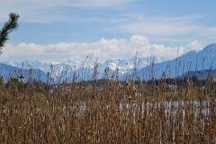 2022-04-17-Wandern-Ostern-Osterseen-75