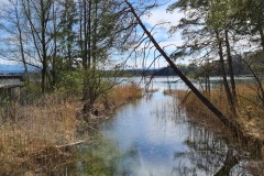 2022-04-17-Wandern-Ostern-Osterseen-77