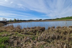 2022-04-17-Wandern-Ostern-Osterseen-83