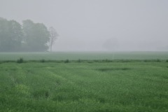 2022-05-07-Gravelbike-Tour-Muenchen-Landshut-04