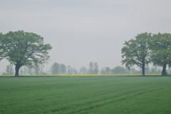 2022-05-07-Gravelbike-Tour-Muenchen-Landshut-19