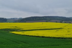 2022-05-07-Gravelbike-Tour-Muenchen-Landshut-34