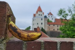 2022-05-07-Gravelbike-Tour-Muenchen-Landshut-53