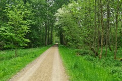 2022-05-07-Gravelbike-Tour-Muenchen-Landshut-69