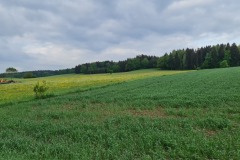 2022-05-14-Gravelbike-Tour-Sylvensteinspeicher-Walchensee-010