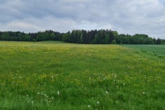 2022-05-14-Gravelbike-Tour-Sylvensteinspeicher-Walchensee-011