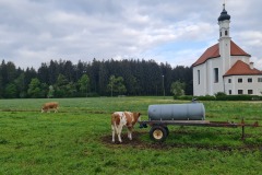 2022-05-14-Gravelbike-Tour-Sylvensteinspeicher-Walchensee-014