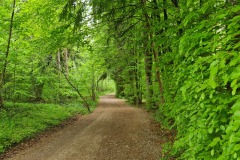 2022-05-14-Gravelbike-Tour-Sylvensteinspeicher-Walchensee-024