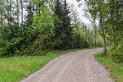 2022-05-14-Gravelbike-Tour-Sylvensteinspeicher-Walchensee-031