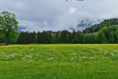 2022-05-14-Gravelbike-Tour-Sylvensteinspeicher-Walchensee-039