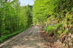 2022-05-14-Gravelbike-Tour-Sylvensteinspeicher-Walchensee-050