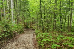 2022-05-14-Gravelbike-Tour-Sylvensteinspeicher-Walchensee-060