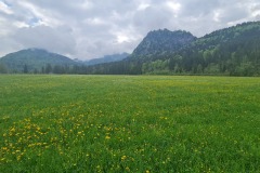 2022-05-14-Gravelbike-Tour-Sylvensteinspeicher-Walchensee-061