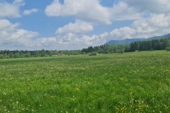 2022-05-14-Gravelbike-Tour-Sylvensteinspeicher-Walchensee-085