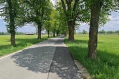 2022-05-14-Gravelbike-Tour-Sylvensteinspeicher-Walchensee-098