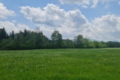 2022-05-14-Gravelbike-Tour-Sylvensteinspeicher-Walchensee-099