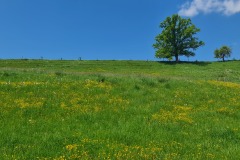 2022-05-14-Gravelbike-Tour-Sylvensteinspeicher-Walchensee-103