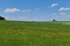 2022-05-14-Gravelbike-Tour-Sylvensteinspeicher-Walchensee-109