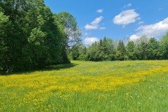 2022-05-14-Gravelbike-Tour-Sylvensteinspeicher-Walchensee-110