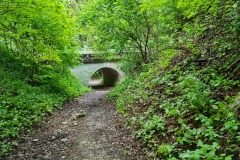 2022-05-21-Gravelbike-Tour-Schliersee-Kufstein-21