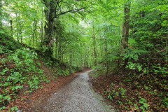 2022-05-21-Gravelbike-Tour-Schliersee-Kufstein-22