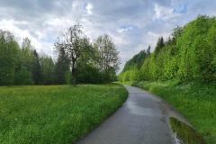 2022-05-21-Gravelbike-Tour-Schliersee-Kufstein-32