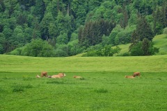 2022-05-21-Gravelbike-Tour-Schliersee-Kufstein-38