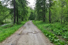 2022-05-21-Gravelbike-Tour-Schliersee-Kufstein-54