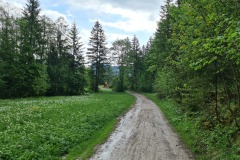 2022-05-21-Gravelbike-Tour-Schliersee-Kufstein-55