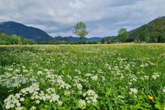 2022-05-21-Gravelbike-Tour-Schliersee-Kufstein-61