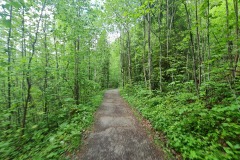 2022-05-21-Gravelbike-Tour-Schliersee-Kufstein-69