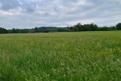 2022-05-28-Gravelbike-Tour-Lech-19