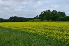 2022-05-28-Gravelbike-Tour-Lech-20