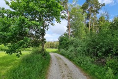 2022-05-28-Gravelbike-Tour-Lech-43