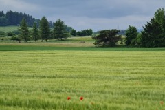 2022-05-28-Gravelbike-Tour-Lech-45