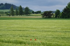 2022-05-28-Gravelbike-Tour-Lech-46