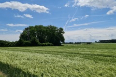 2022-05-28-Gravelbike-Tour-Lech-72