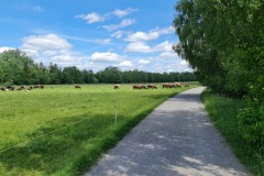 2022-05-28-Gravelbike-Tour-Lech-75