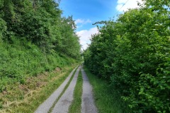 2022-05-28-Gravelbike-Tour-Lech-77