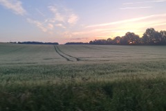 2022-06-16-Gravelbike-Tour-Augsburg-Ingolstadt-07